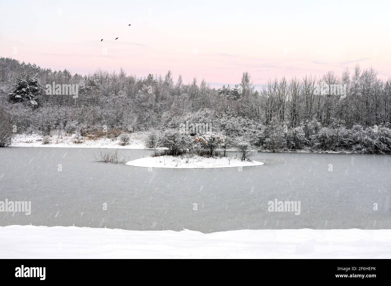 Inverno isola boschiva in lago con neve profonda stabilizzata e nevicata dal cielo. Bella rosa arancio alba all'alba con uccelli in volo come il sole tramonta Foto Stock