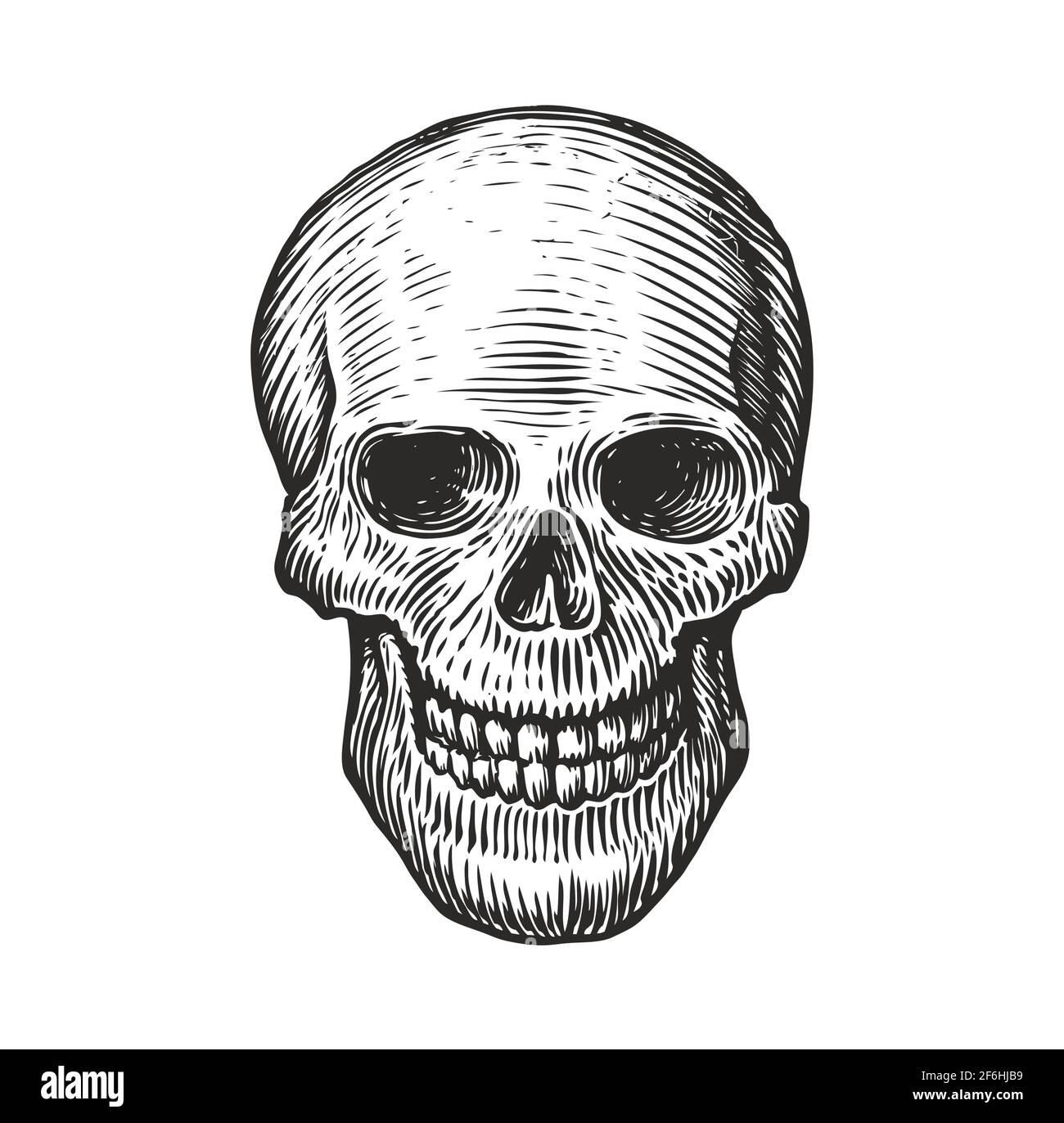 Cranio umano in stile gotico d'epoca. Incisione del vettore di schizzo Illustrazione Vettoriale