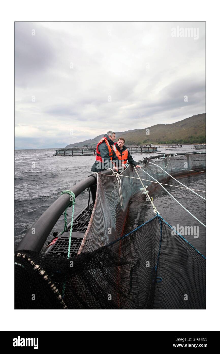 Allevamento di salmone sulla costa occidentale della Scozia.... Lochmuir.Marks e Spencer e Scottish Sea Farms lavorano insieme per produrre salmone di qualità superiore a prezzi competitivi, utilizzando le migliori attrezzature e tecnologie con la dovuta preoccupazione per l'ambiente. Una delle aziende agricole dedicate a M&S, la Kishorn Marine Farm, dove il personale monitora la crescita, la salute e l'alimentazione del salmone. (R to L) Jim Gallagher - Amministratore Delegato (sia Scottish Sea Farm) e Andrew Mallison, Senior Technologist di M&S - Fotografia di pesce di David Sandison The Independent Foto Stock