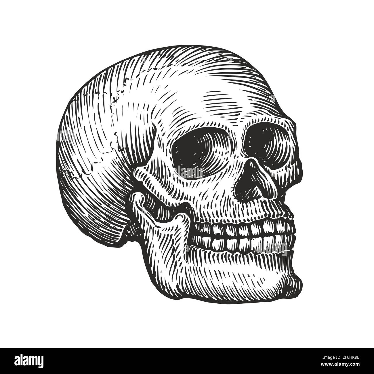 Cranio umano in stile gotico d'epoca. Illustrazione vettoriale dello schizzo di incisione Illustrazione Vettoriale