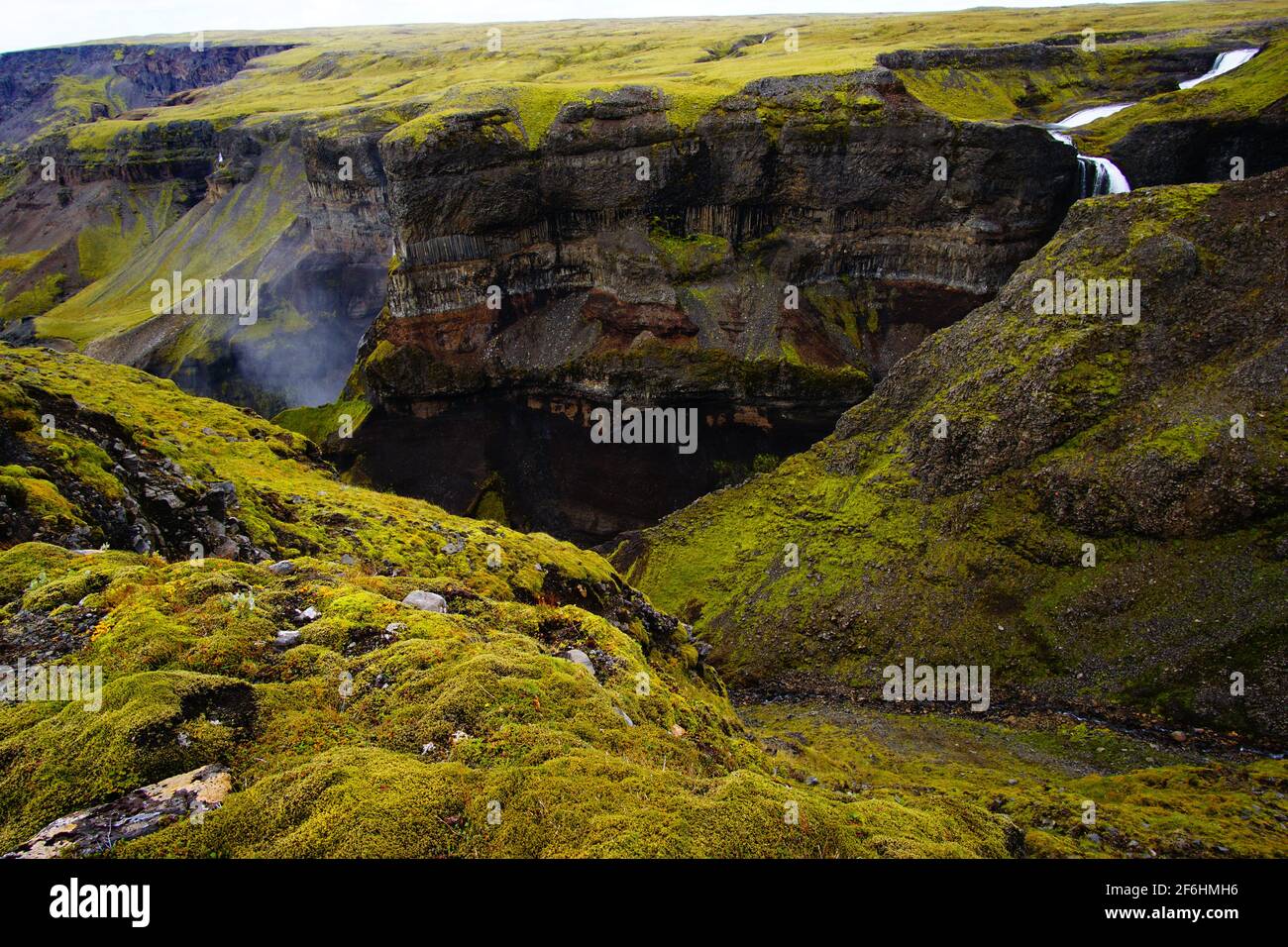 Natura eccezionale - completamente verde con cascate e scogliere dentro tempo piovoso dell'islanda Foto Stock