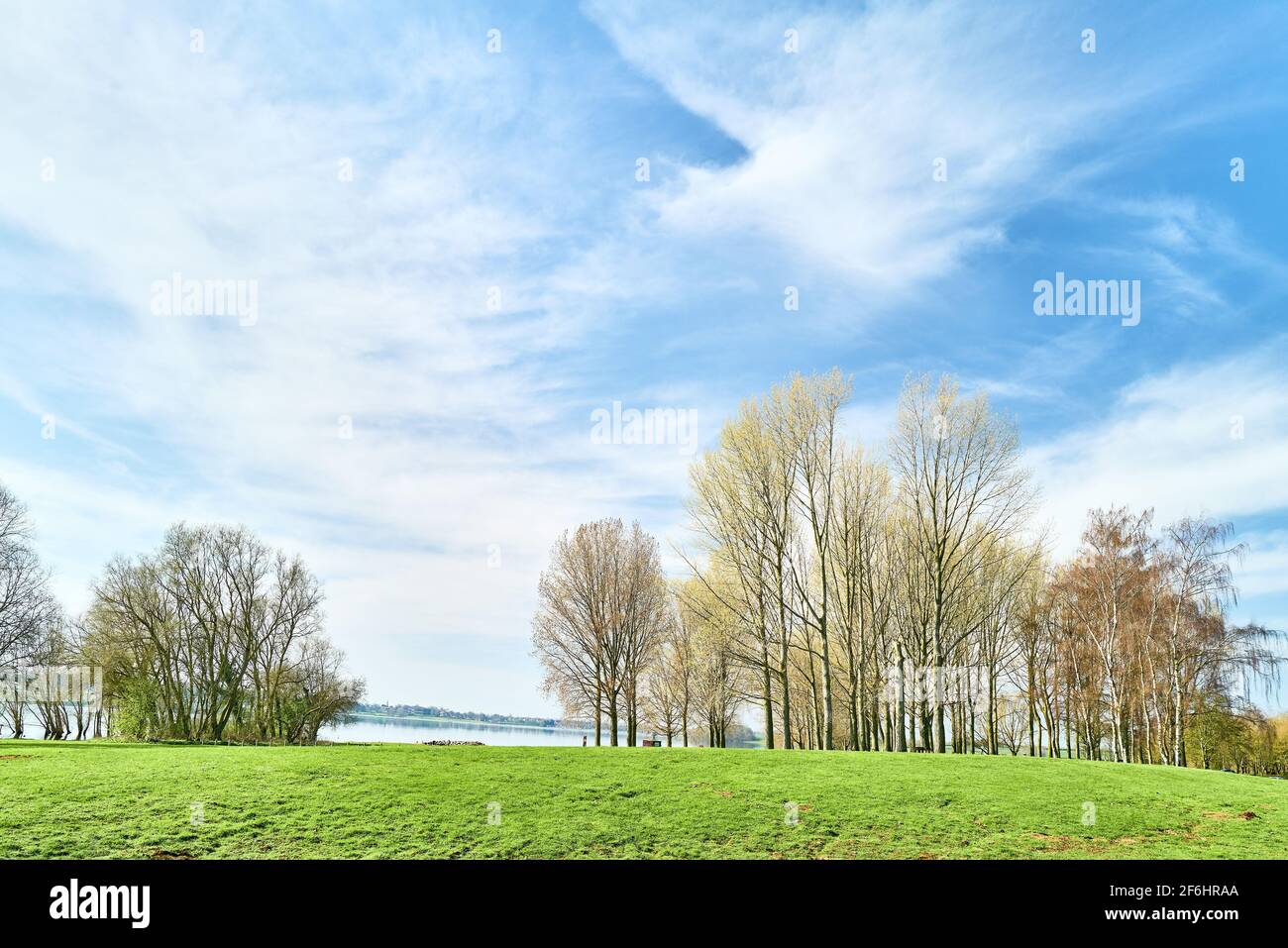 In un primo giorno di primavera, in un parco vicino a un lago, si è gremito di alberi. Foto Stock
