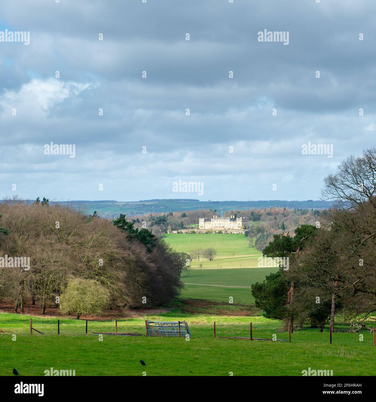 Vista attraverso il paesaggio del parco progettato da Capability Brown verso Harewood House nel West Yorkshire Foto Stock