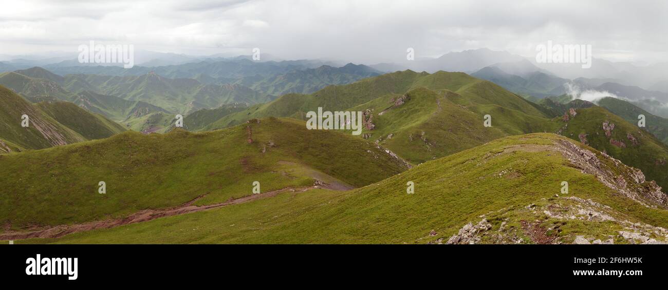 Montagna verde savana in Tibet - provincia di Qinghai, Cina Foto Stock