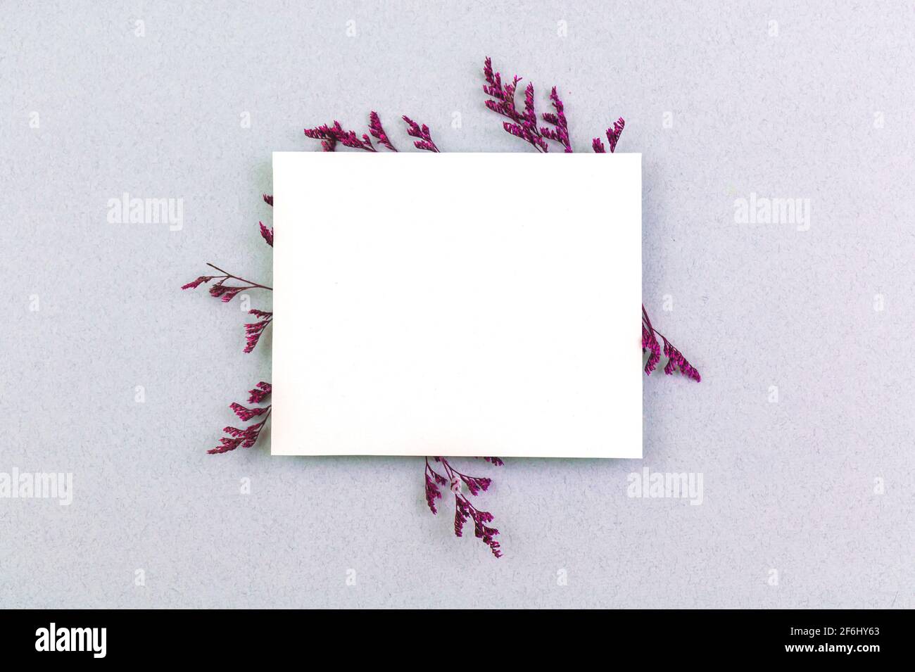Creativo mockup di fiori con carta di invito vuota, concetto di sfondo piatto, con spazio di copia Foto Stock