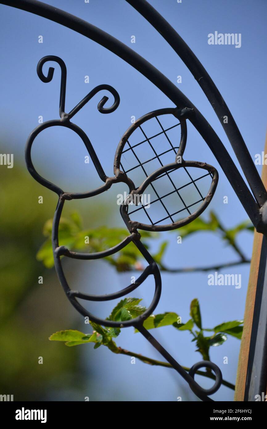 Pianta decorativa a forma di metallo Butterfly Hanger - Blue Sky e filiali in background - UK Foto Stock