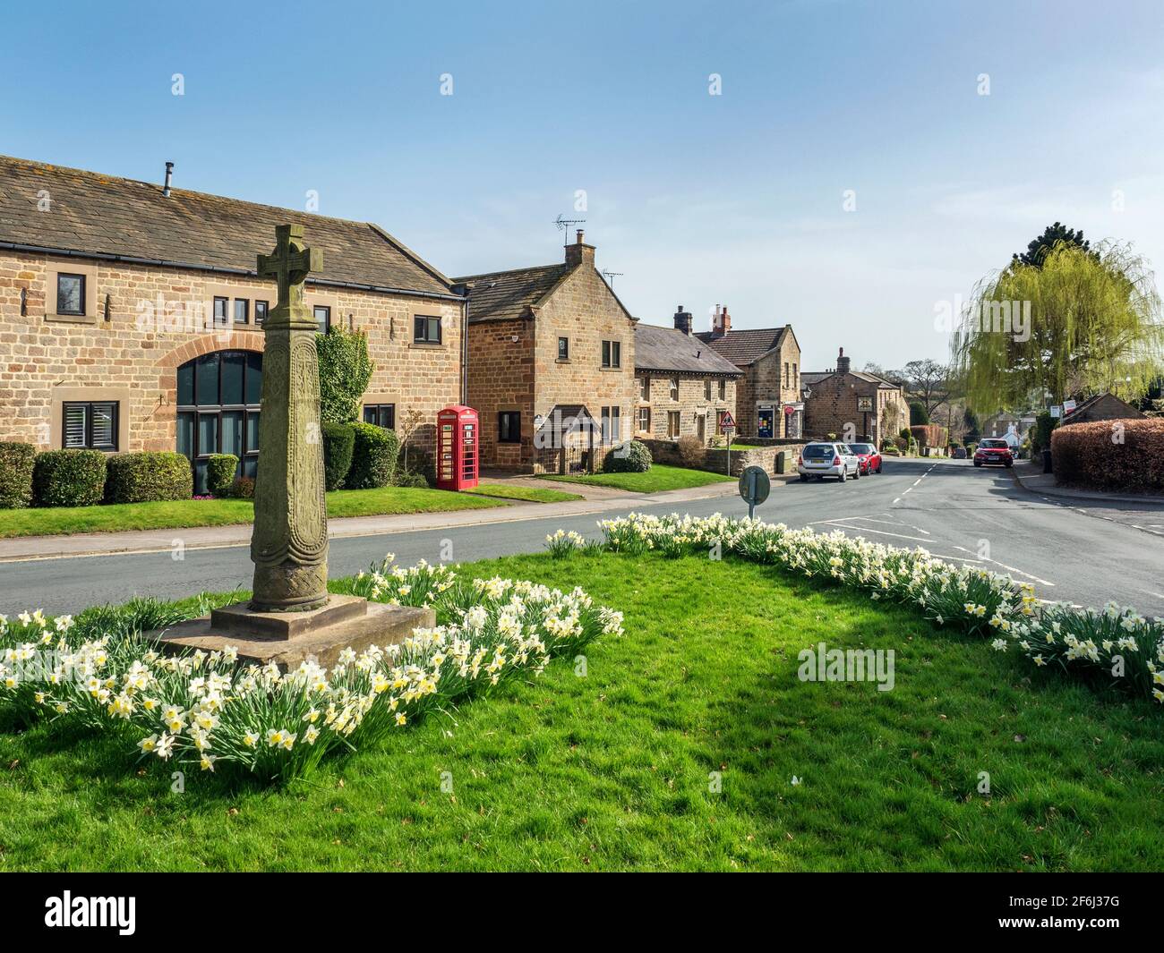 Narcisi in fiore intorno alla Croce Sassone a Follifoot vicino Harrogate North Yorkshire Inghilterra Foto Stock