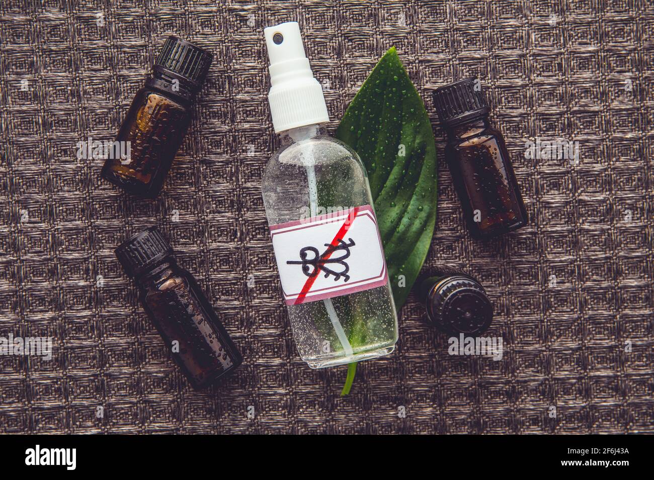 Repellente per zanzare a base di olio essenziale fatto in casa. Vista piatta della bomboletta spray circondata da bottiglie di olio essenziale marrone su sfondo nero. Foto Stock