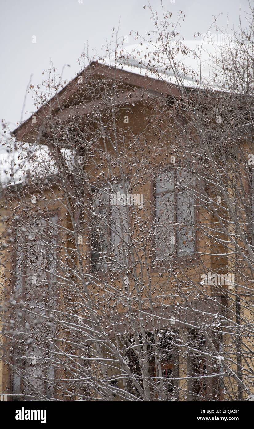 rami di alberi innevati con neve o tetto di chalet sci o condo dietro rami il giorno d'inverno nel villaggio di stazione sciistica dopo nevicata verticale Foto Stock