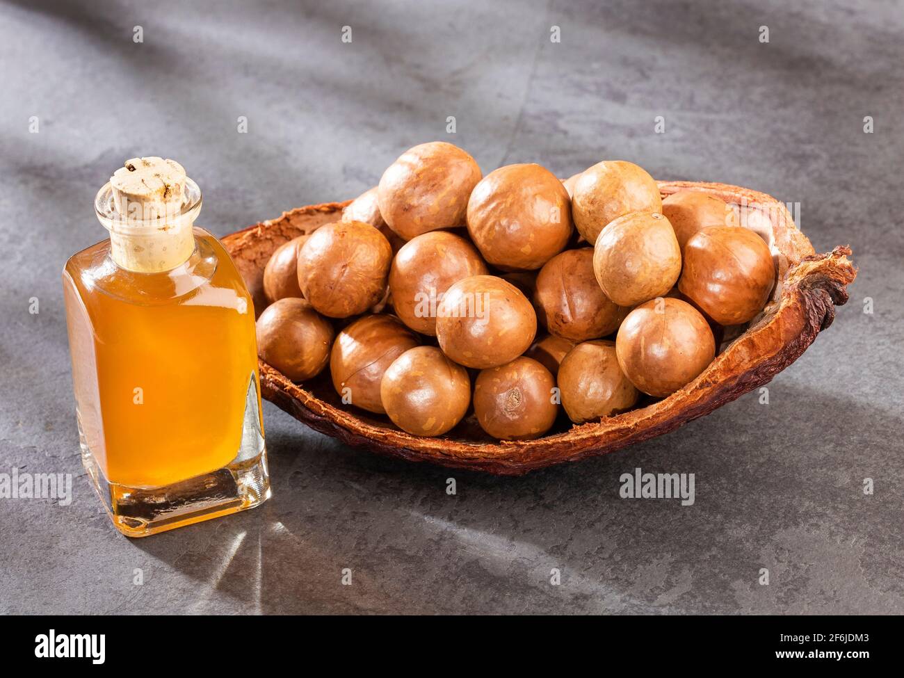 Noci e olio di macadamia - Macadamia integrifolia Foto Stock