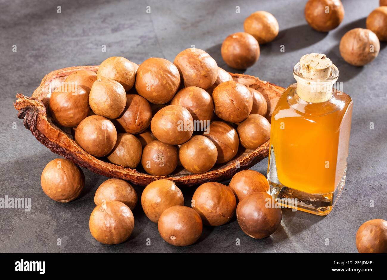 Noci e olio di macadamia - Macadamia integrifolia Foto Stock