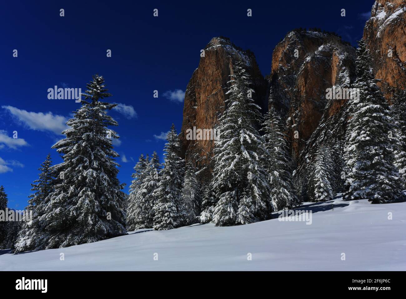 Dolomiti, Dolomiti, Südtirol, Italien, Schnee, Bäume und Felsen im Langental Foto Stock