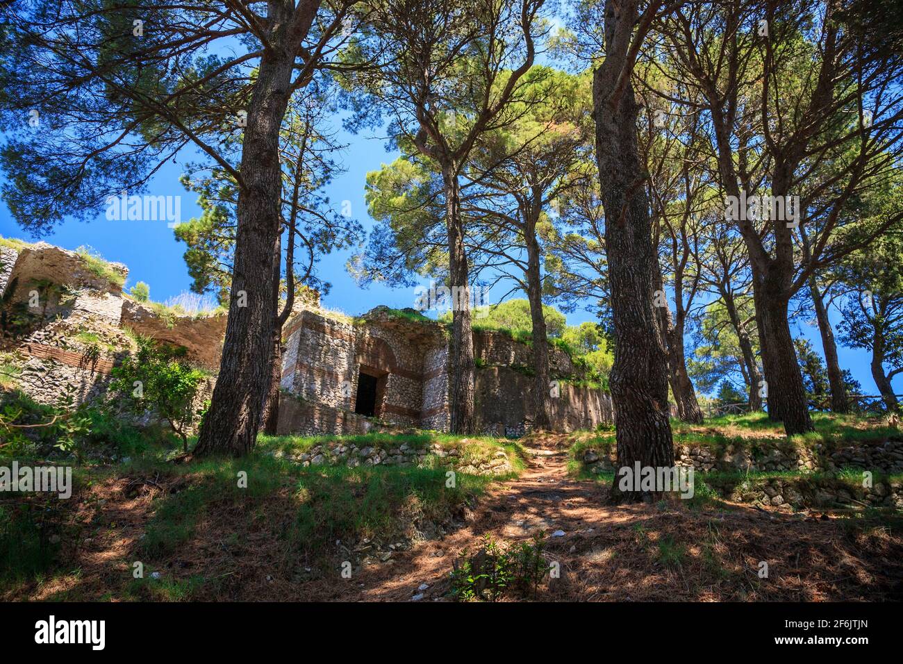 Attraverso i pini sul sentiero per l'Area Termale dell'Imperatore Tiberio Villa Jovis Romana sull'Isola di Capri Foto Stock