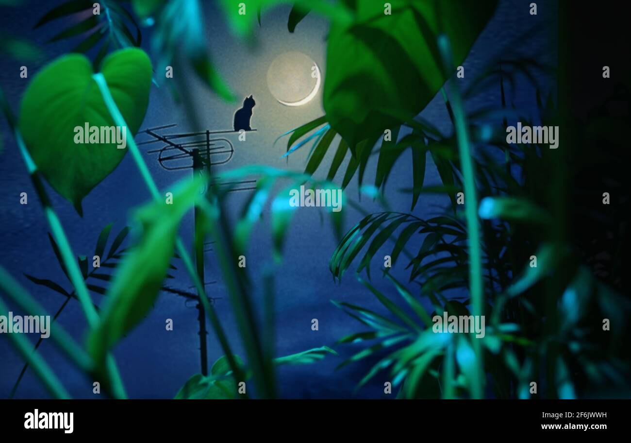 Silhouette Cat sull'antenna televisiva e Luna attraverso le foglie Foto Stock