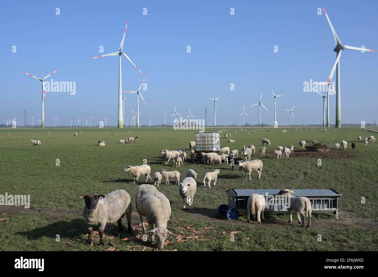 Germania, progetto Green Hydrogen Westküste100, il consorzio progetta la produzione di idrogeno verde con energia da turbine eoliche / DEUTSCHLAND, Schleswig-Holstein, Wasserstoff-Projekt Westküste 100, stabilimento di Konlakt Erzeugung von grünem Wasserstoff mit Windstrom, Enercon Windturbinen Foto Stock