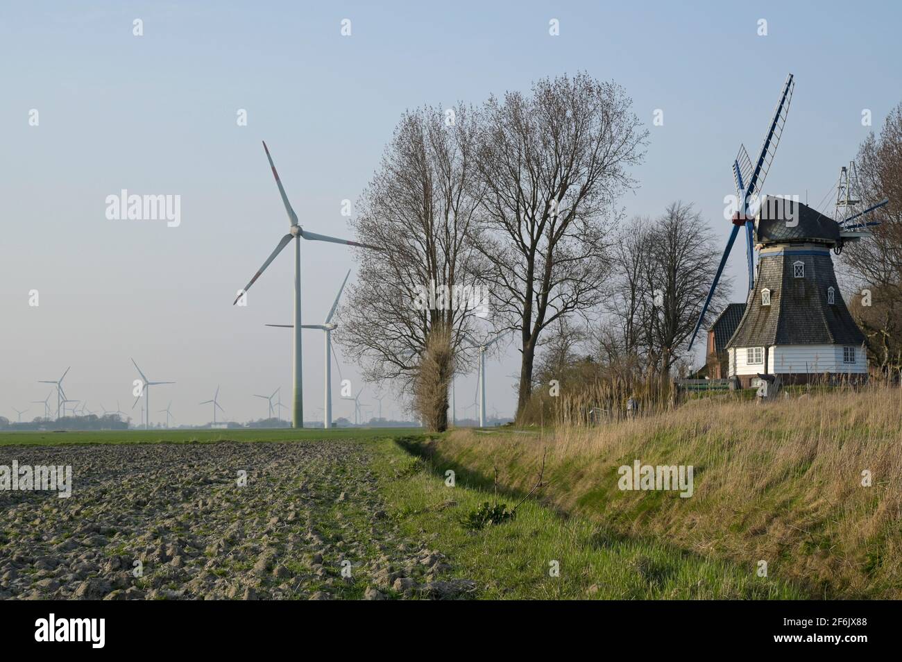 Germania, progetto Green Hydrogen Westküste100, progetto di produzione di idrogeno verde con energia da turbine eoliche / DEUTSCHLAND, Schleswig-Holstein, Wasserstoff-Projekt Westküste 100, impianto di Konlaft Erzeugung von grünem Wasserstoff mit Windstrom, Kontrast alte Windmühle Immanuel und neue Windturbinen Foto Stock