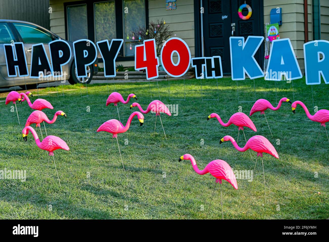 Fenicotteri rosa sul prato per festeggiare un compleanno Foto Stock
