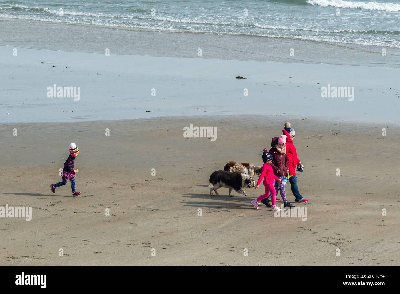 Inchydoney, West Cork, Irlanda. 1 aprile 2021. La spiaggia di Inchydoney a West Cork è stata un luogo popolare per la gente del posto questo pomeriggio in una giornata di sole e di forti brezze. Credit: AG News/Alamy Live News Foto Stock