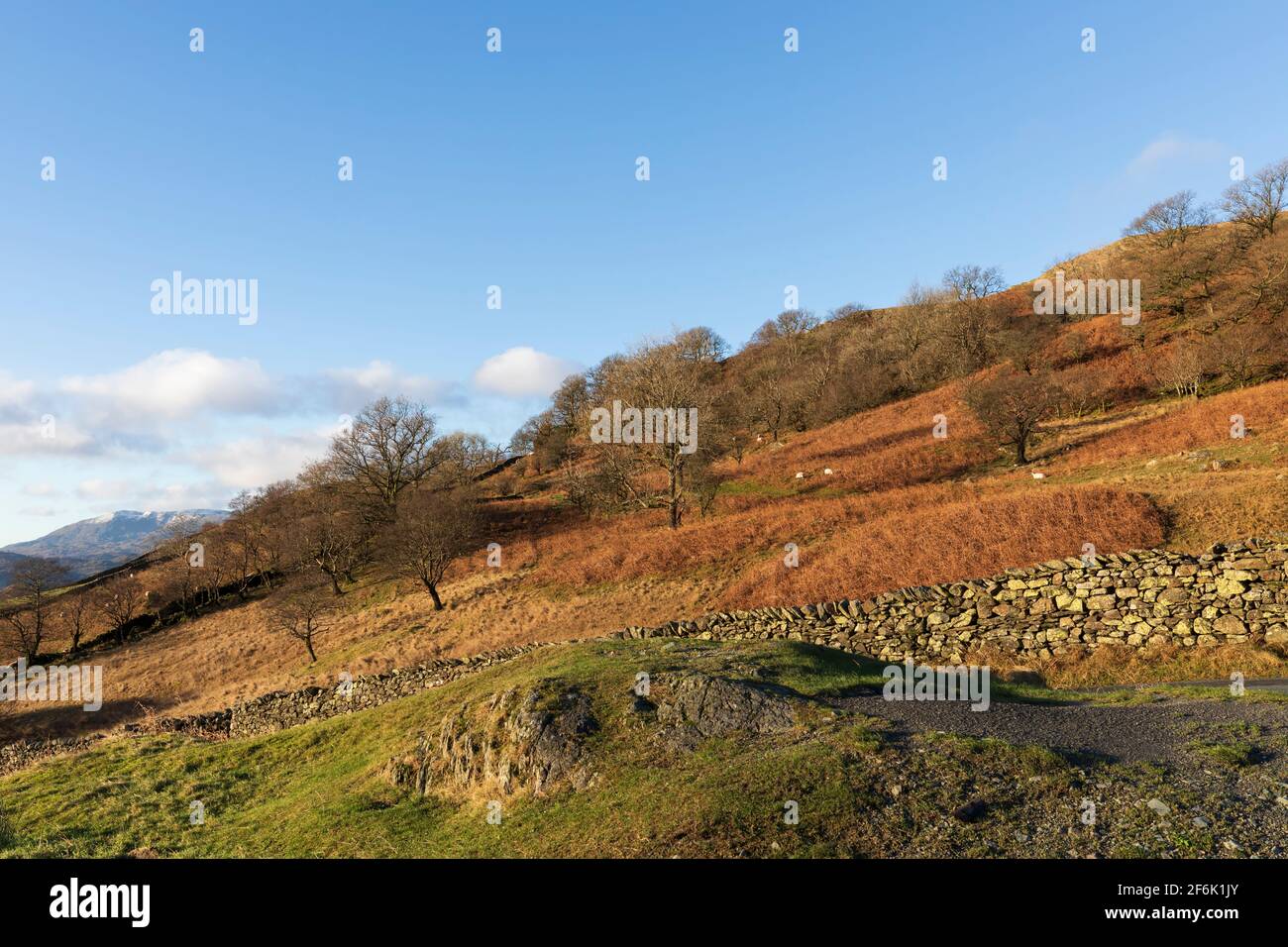 La lotta, Ambleside a Passo Kirkstone, Lake District National Park, Cumbria Foto Stock