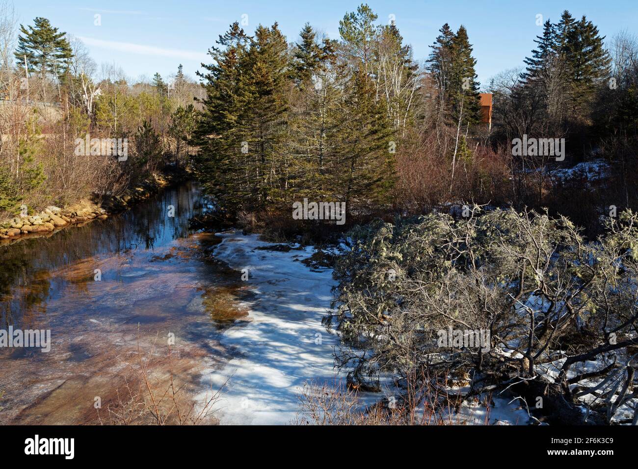 Alberi a Mill Cove a Chester, Nuova Scozia, Canada. L'acqua della baia è parzialmente congelata a causa del tempo invernale. Foto Stock