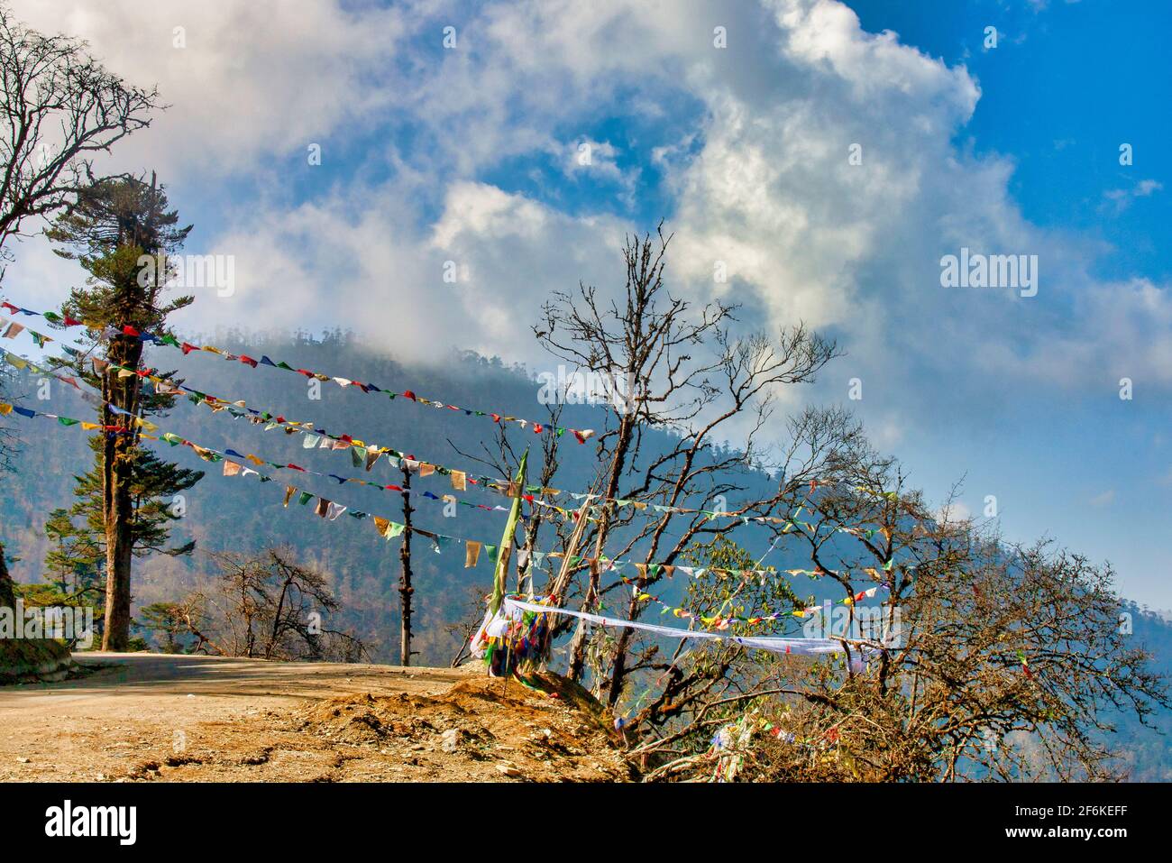 Passo di Pele la nelle Montagne nere, Distretto di Wangdue Phodrang, Bhutan Foto Stock