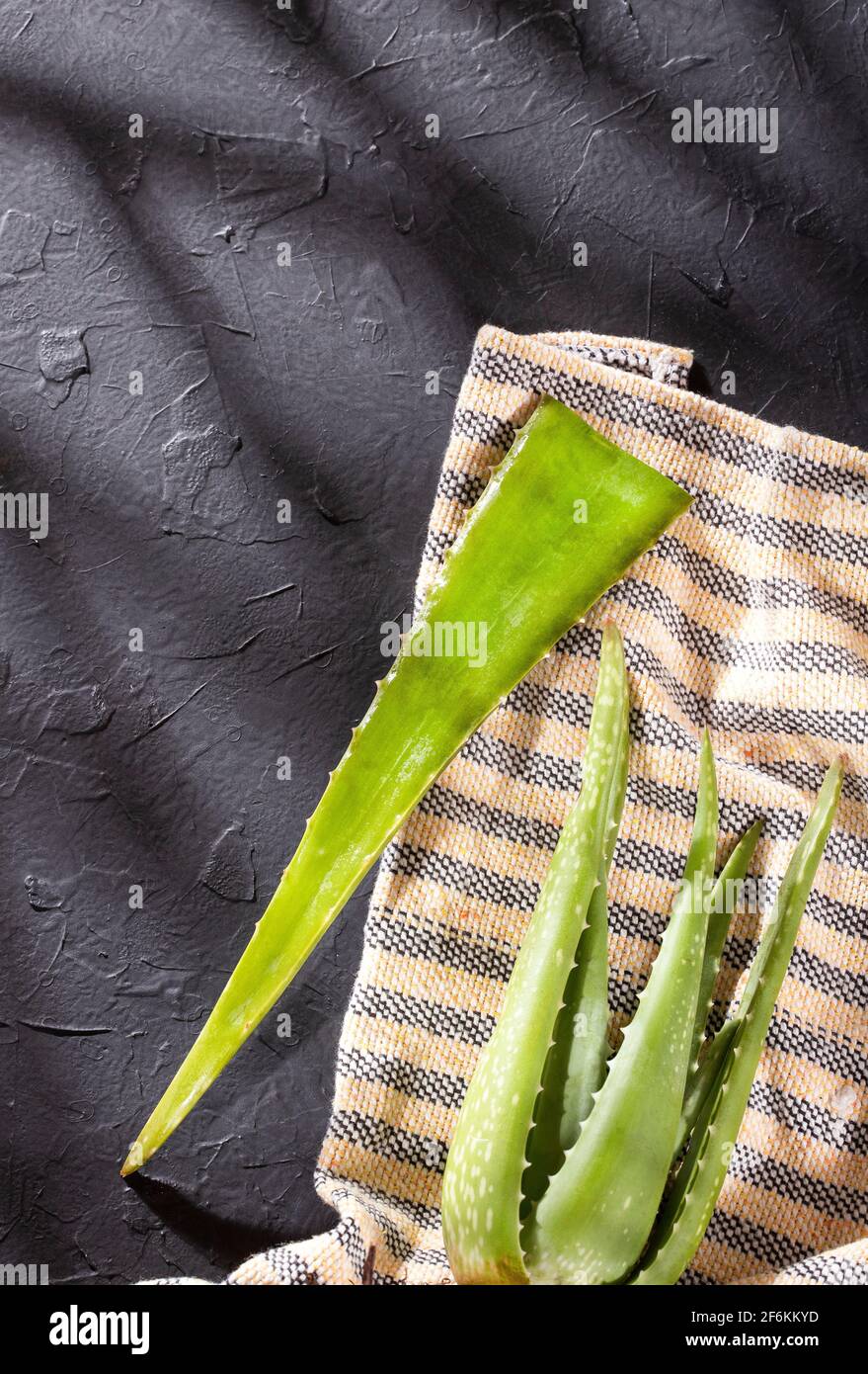 Fetta Aloe vera una medicina erboristica molto utile per la cura della pelle e dei capelli. Foto Stock