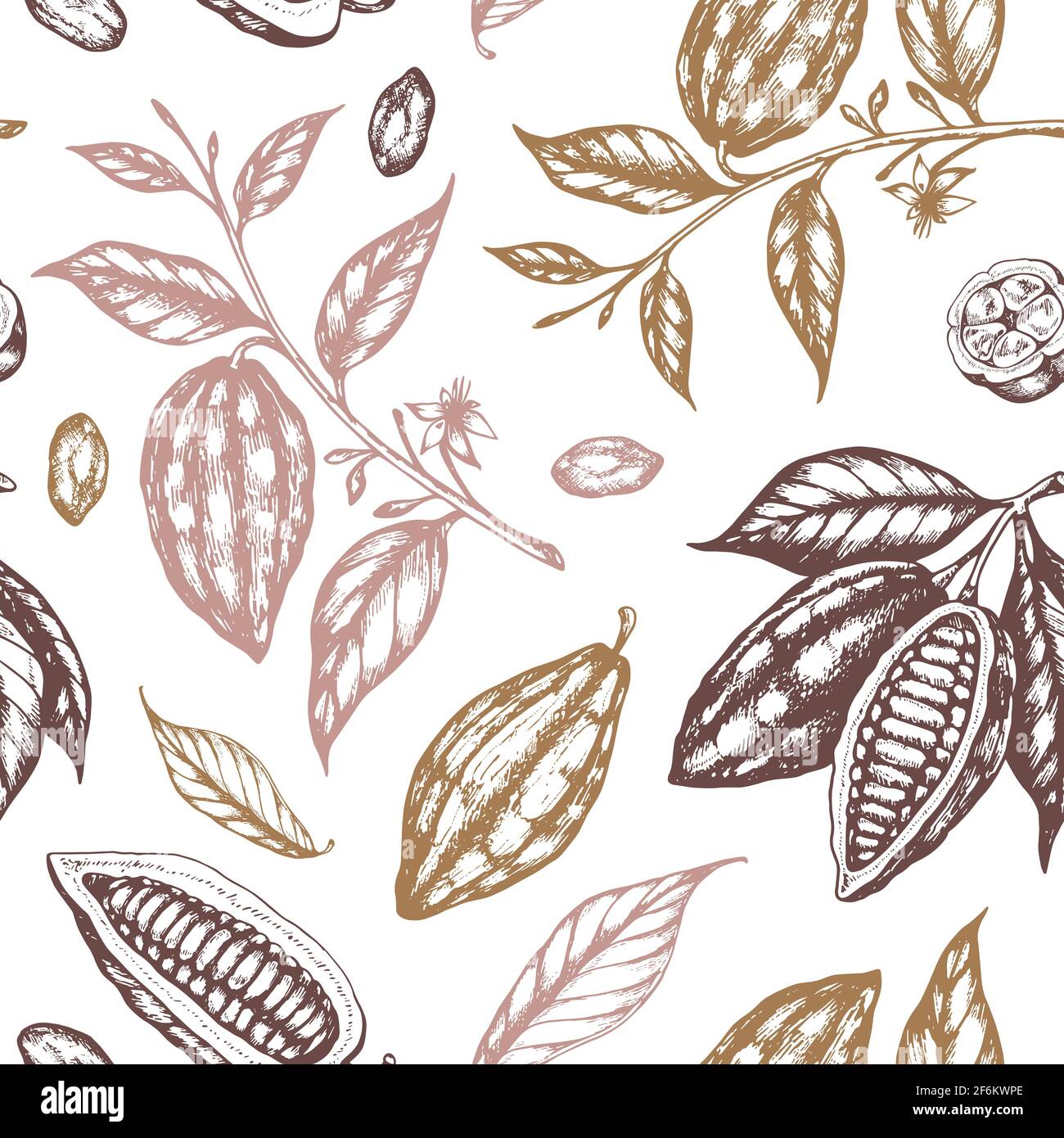 Vintage disegno a mano senza cuciture con semi di cacao e piante di cacao su sfondo bianco. Foto Stock