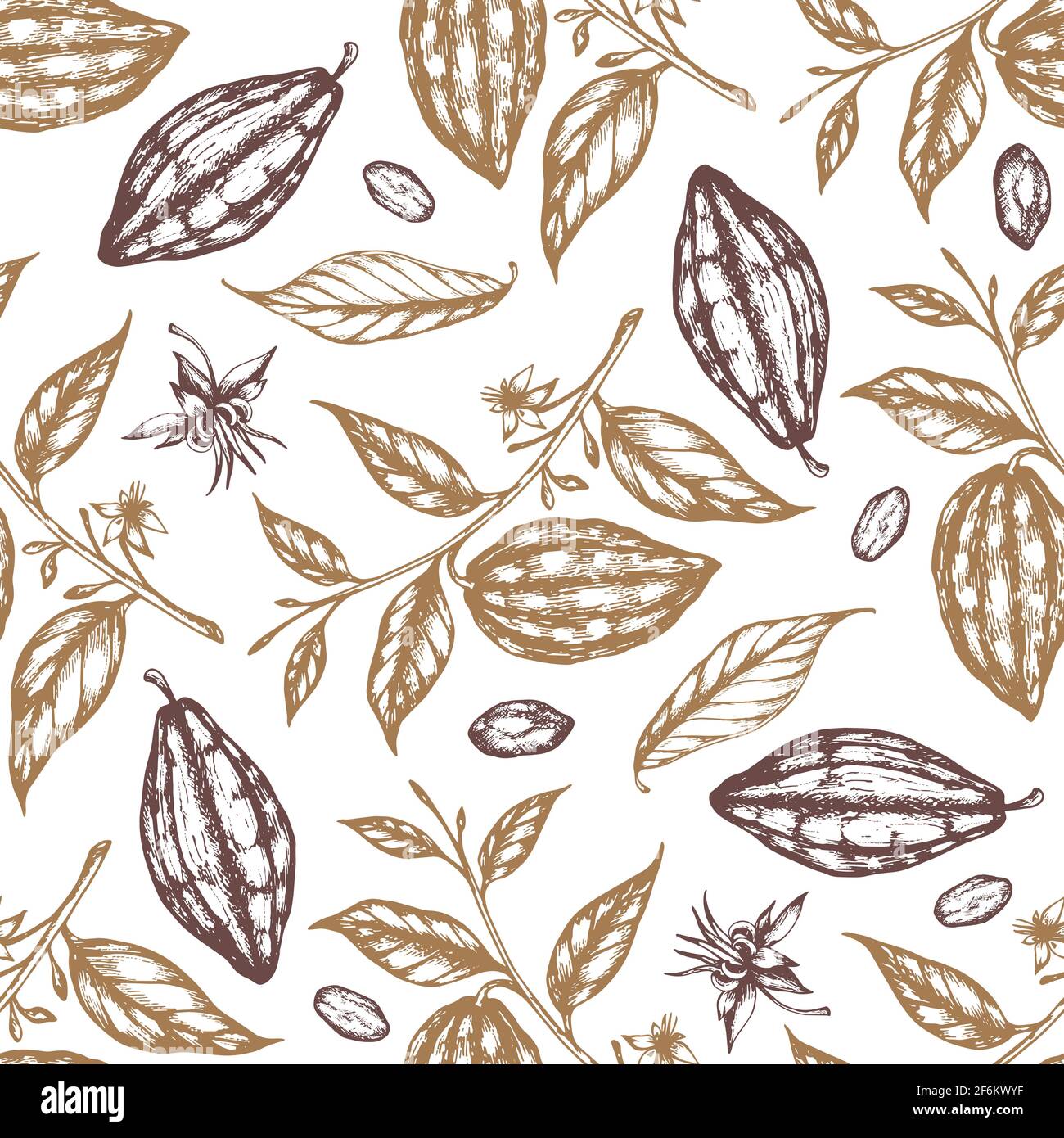 Vintage disegno a mano senza cuciture con semi di cacao e piante di cacao su sfondo bianco. Foto Stock