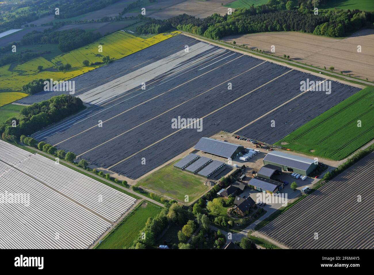 Luftaufnahme von Spargelfeldern vom Hof Soltau, Eicklingen, Landkreis celle, Lüneburger Heide, Niedersachsen, Deutschland, Europa | foto aerea di AS Foto Stock