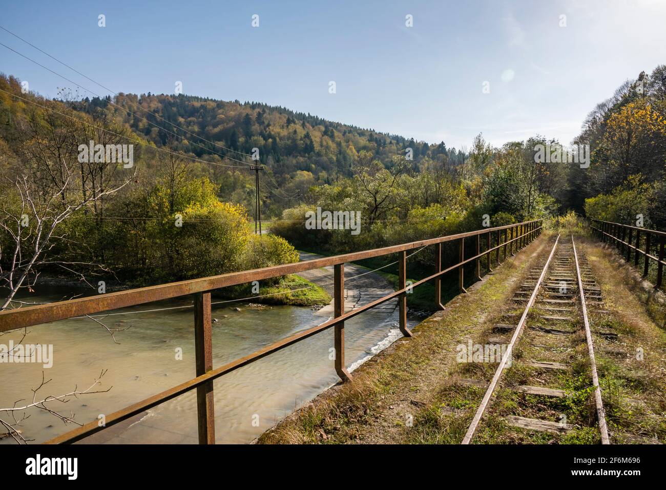Un vecchio ponte ferroviario inutilizzato a scartamento ridotto nei Monti Bieszczady . Bieszczady, Polonia, Europa Foto Stock