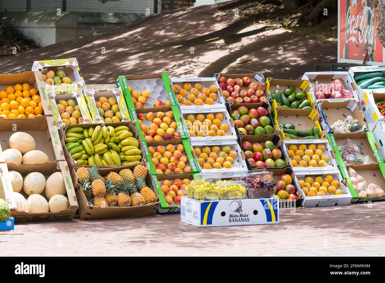 frutta e verdura visualizzate in scatole su una strada in Sudafrica Foto Stock