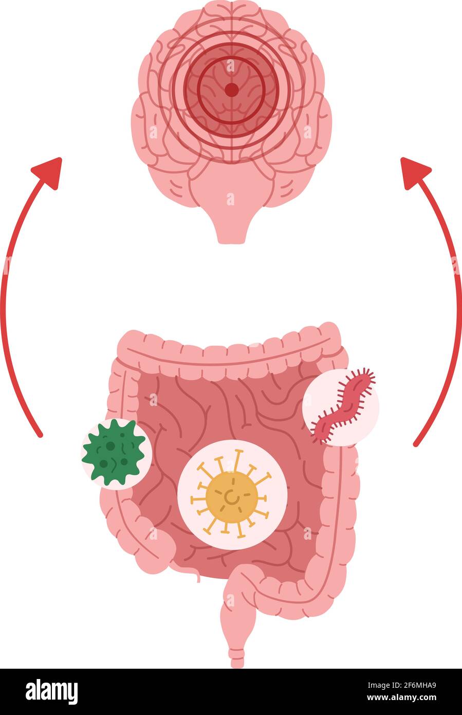 Una cattiva salute intestinale a causa dell'esposizione a microrganismi porta all'illustrazione vettoriale della neuroinfiammazione. Illustrazione Vettoriale