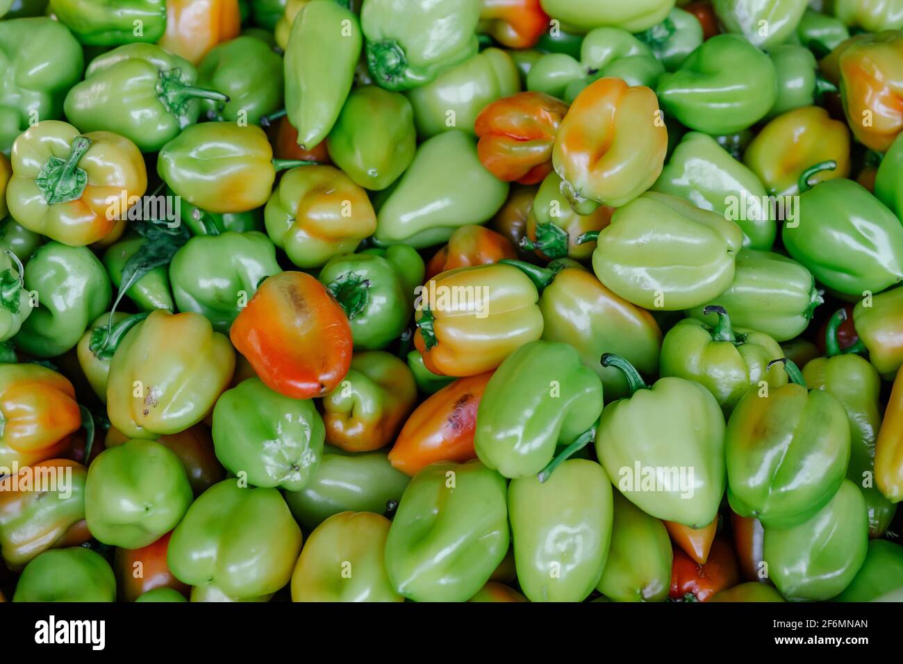 Peperoni colorati organici, sfondo naturale. Un sacco di peperoni nel mercato delle verdure. Peperoni freschi colore della texture di sfondo. Foto Stock