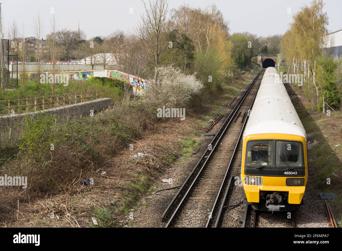 Treno ferroviario sud-orientale che viaggia fuori dal tunnel verso l'aperto fiancheggiato dal sole floreale di primavera al di fuori della stazione di Lewisham Londra Inghilterra Foto Stock