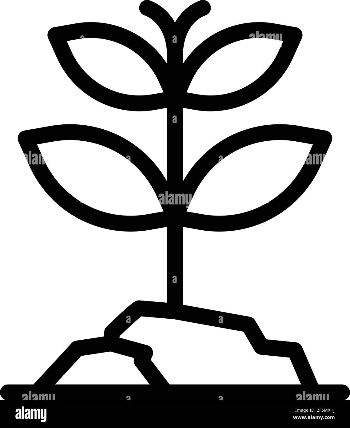 Icona di pianta di erbe. Contorno pianta erboristica icona vettore per web design isolato su sfondo bianco Illustrazione Vettoriale
