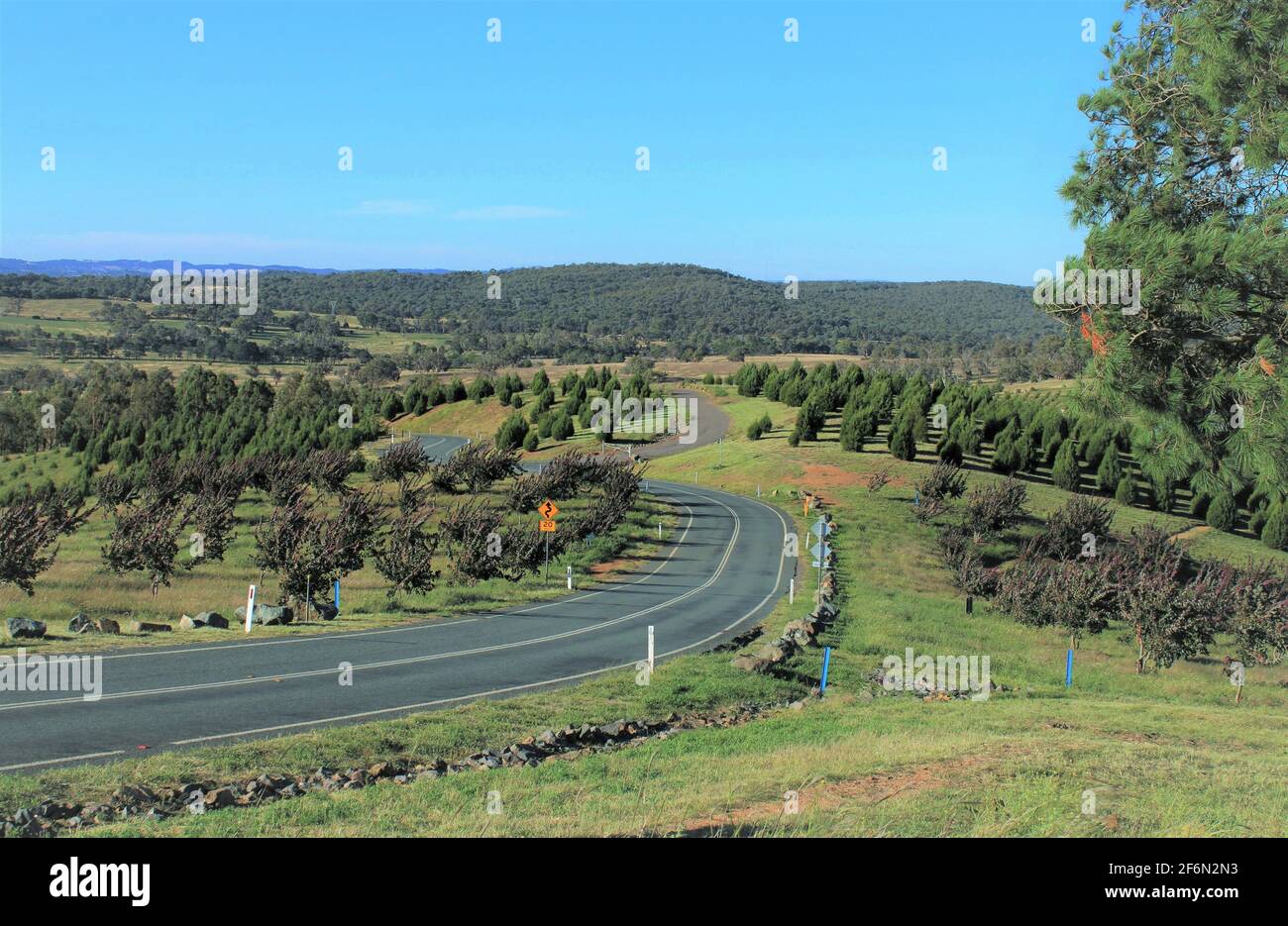 Re-green di City Project, National Aboretum a Canberra, Australia. Foto Stock