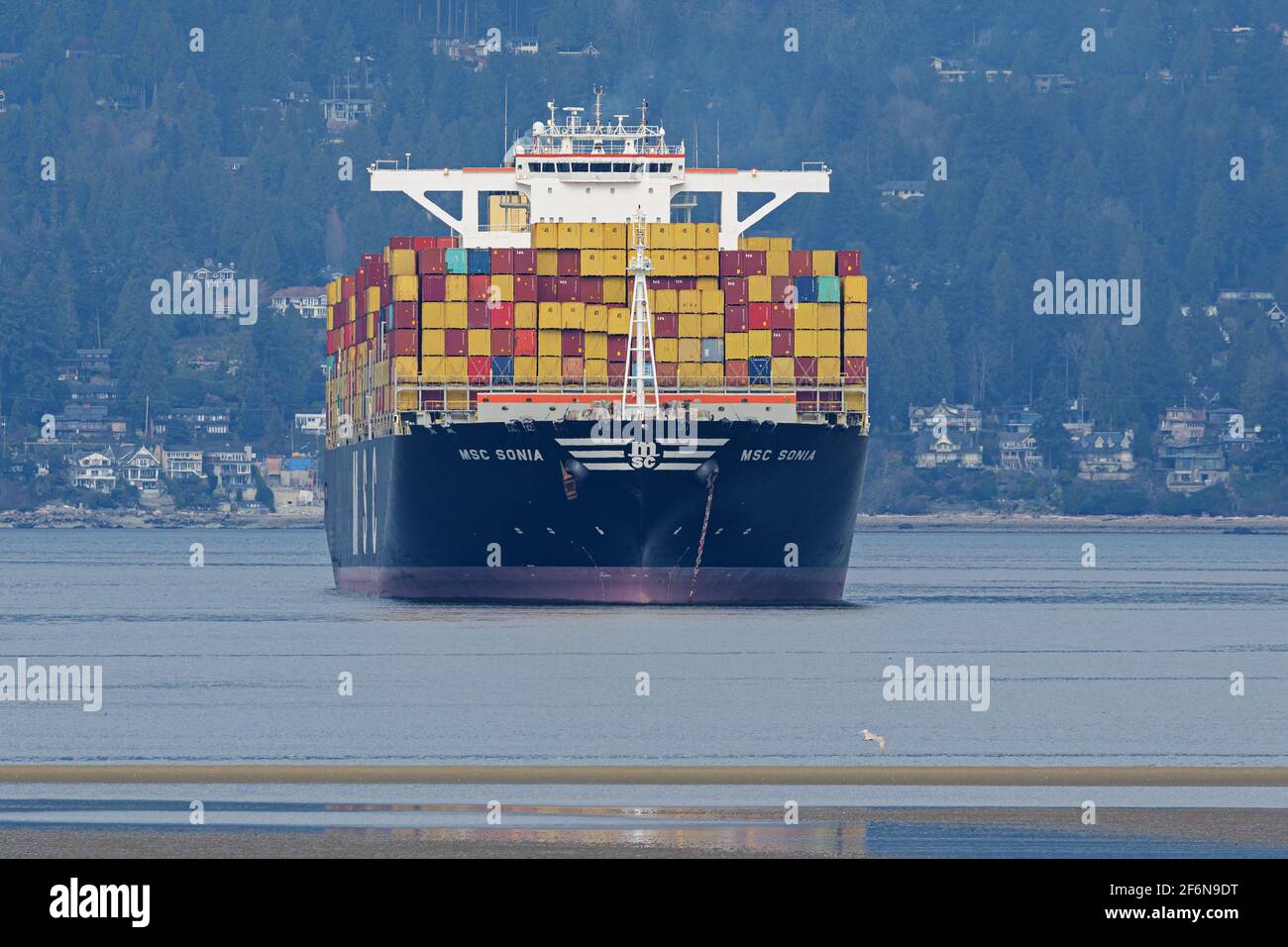 Vancouver, British Columbia, Canada. 1 aprile 2021. La nave container Mediterranean Shipping Company 'MSC Sonia' all'ancora a Burrard Inlet, il porto esterno per il porto di Vancouver, Canada. Credit: Bayne Stanley/ZUMA Wire/Alamy Live News Foto Stock