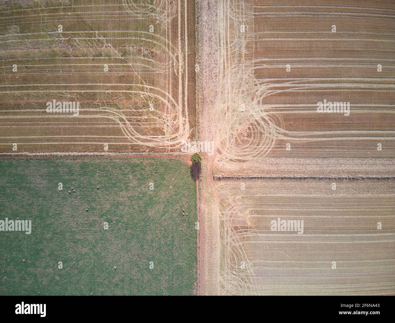 Terra di agricoltura aerea, colture agricole con modelli e piste con sfondo verde e marrone, Victoria, Australia. Foto Stock