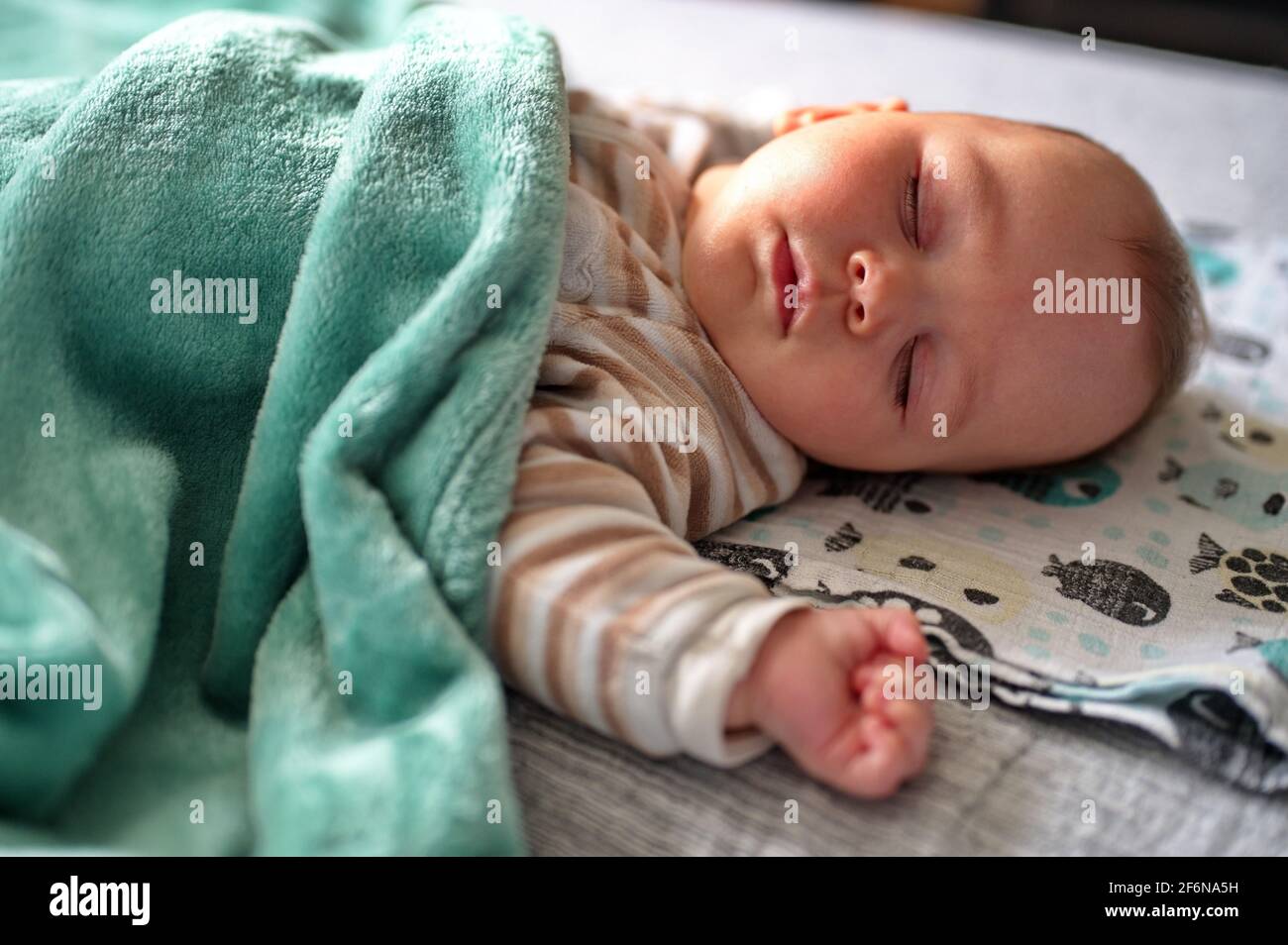 Ritratto del bambino carino che dorme Foto Stock