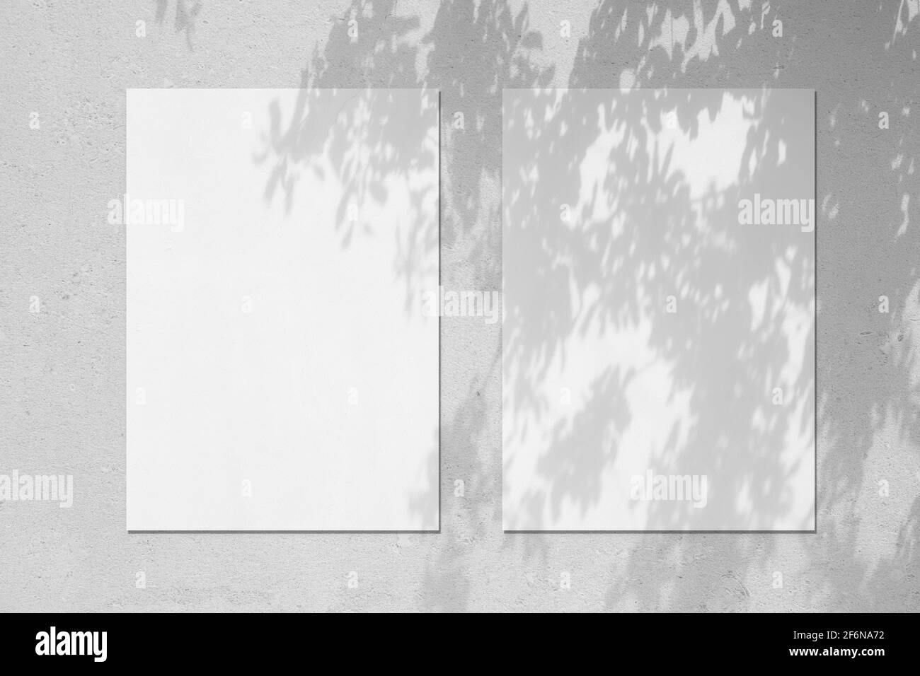 Immagine vuota del poster rettangolare bianco verticale con ombre delle foglie morbide Foto Stock