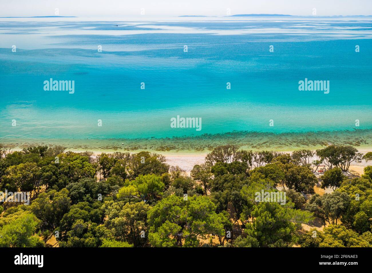 Bellissima isola di Pag in Croazia, lunghe spiagge sotto pini e mare Adriatico in background, drone vista aerea Foto Stock