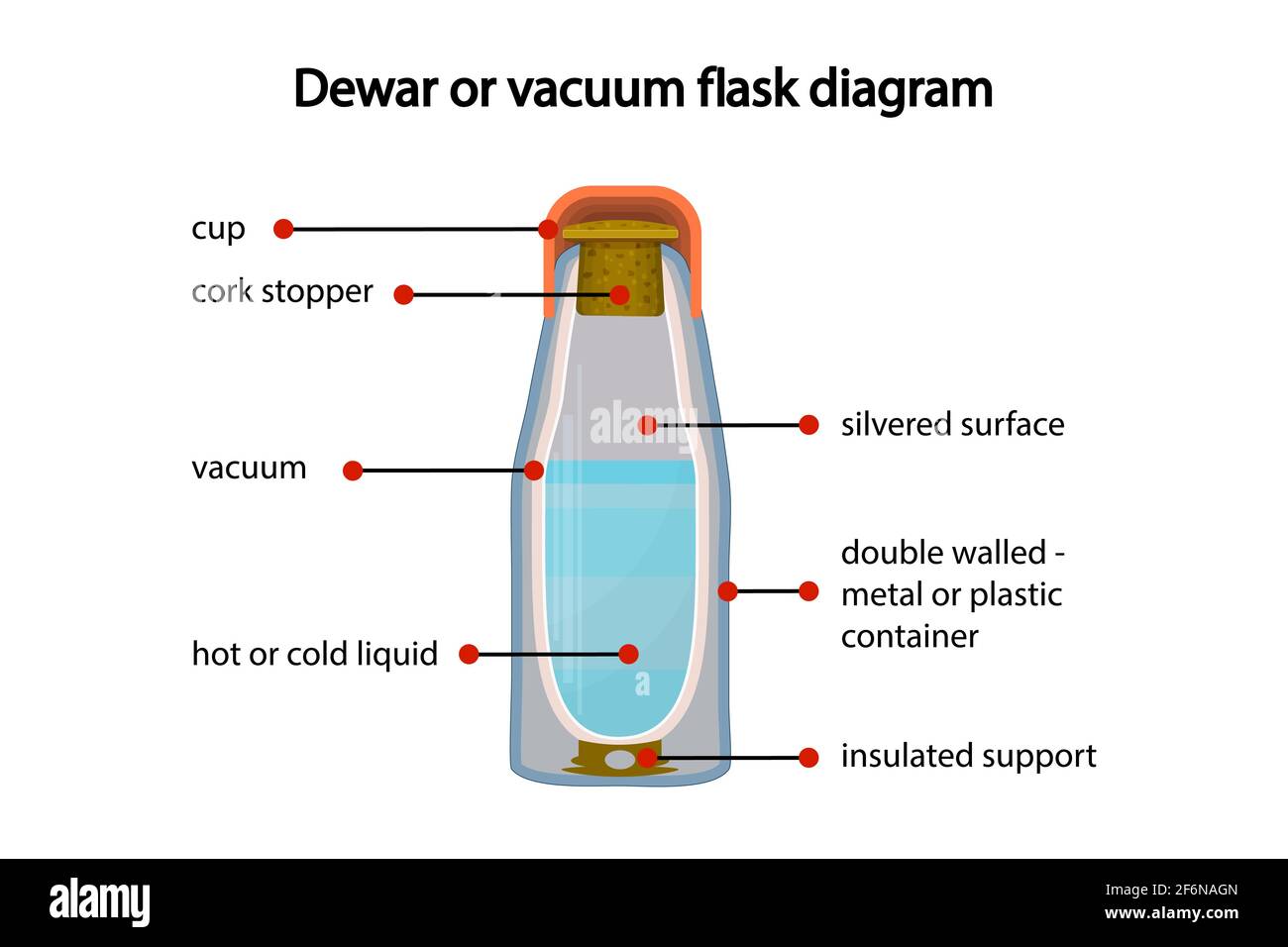 Dewar o pallone da vuoto completamente isolato su bianco.sezione trasversale Vista in sezione di un pallone sottovuoto thermos.diagramma che mostra il vuoto Strati matracci.vettore Illustrazione Vettoriale