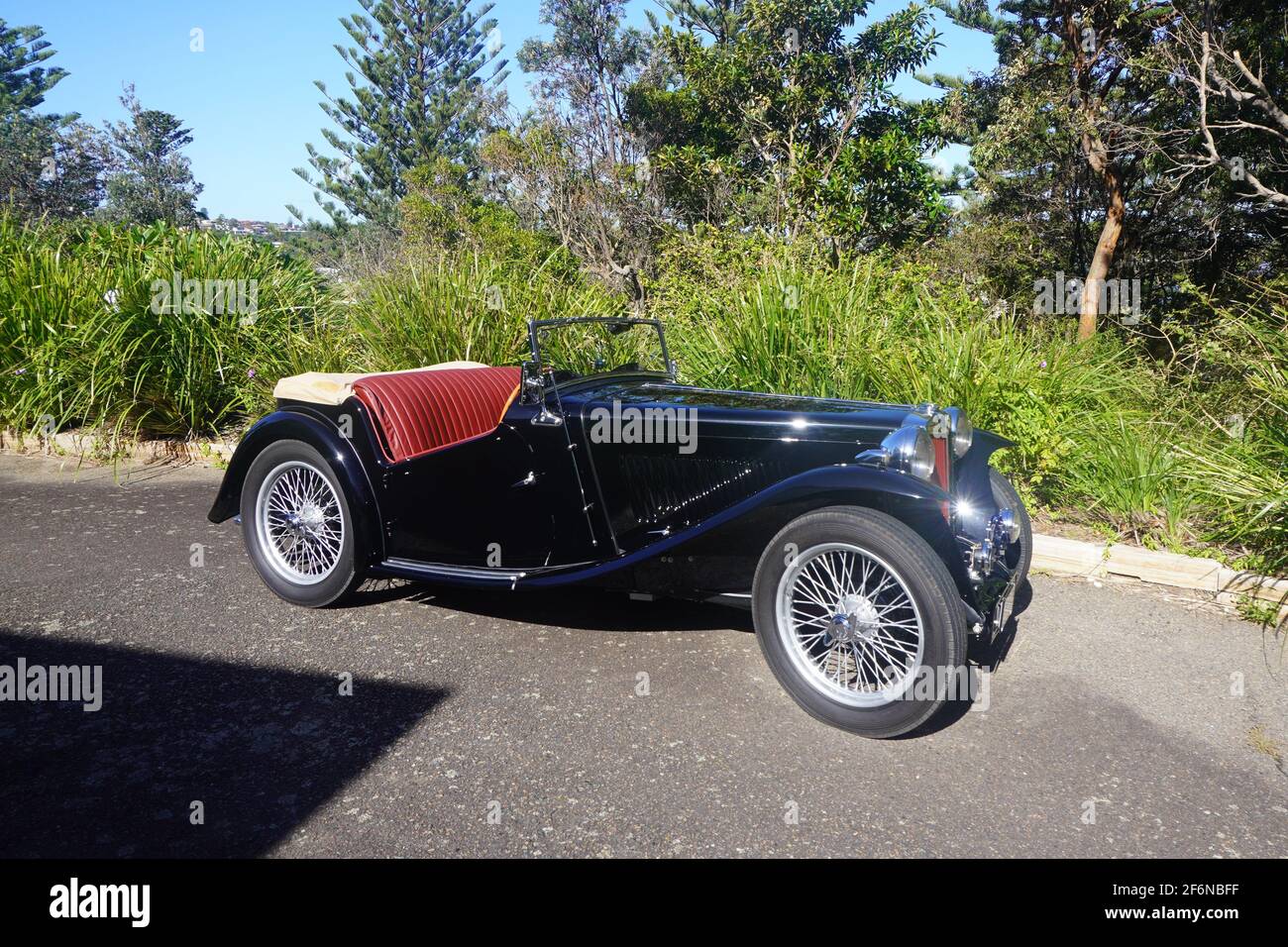 Vista laterale di una MG nera classica in un boshland Impostazione Foto Stock
