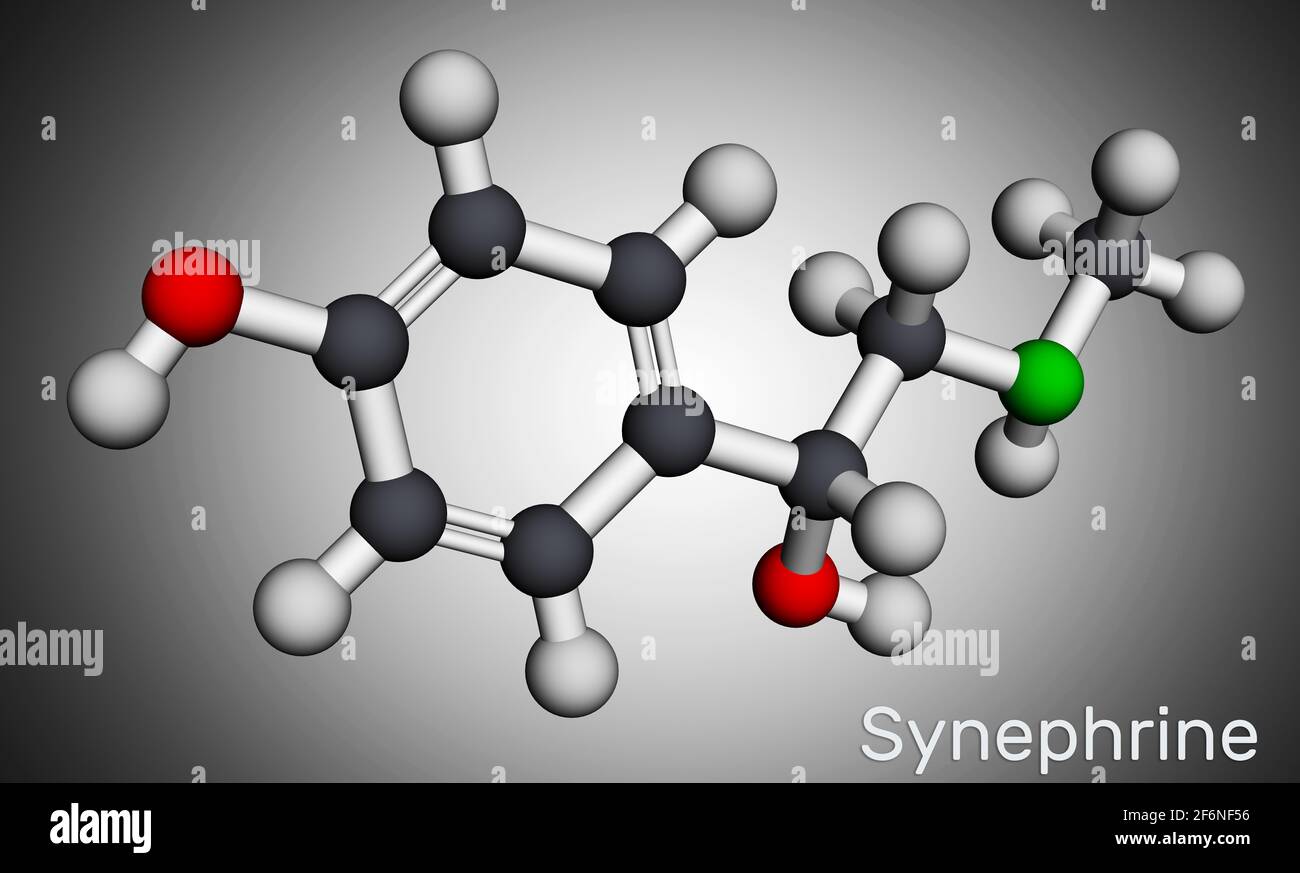 Sinefrina, molecola di p-sinefrina. Si tratta di un alcaloide della fenetilammina. Modello molecolare. Rendering 3D. Illustrazione Foto Stock