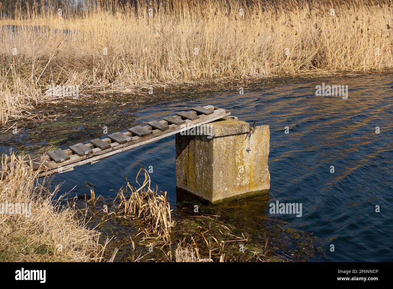 Un molo in legno che conduce al drenaggio di stagni di pesci in disuso. Preso in una giornata di sole, l'oggetto contro il cielo blu. Foto Stock