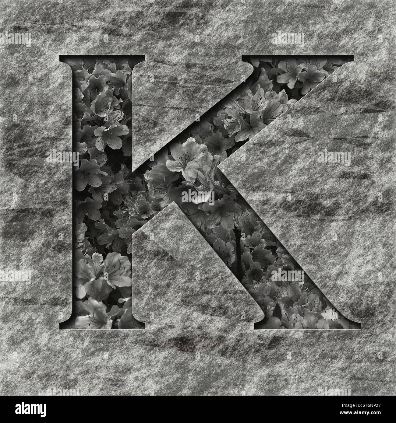 Grafica quadrata: Lettera maiuscola con il carattere maiuscolo K, un rilievo profondo riempito di piante Foto Stock