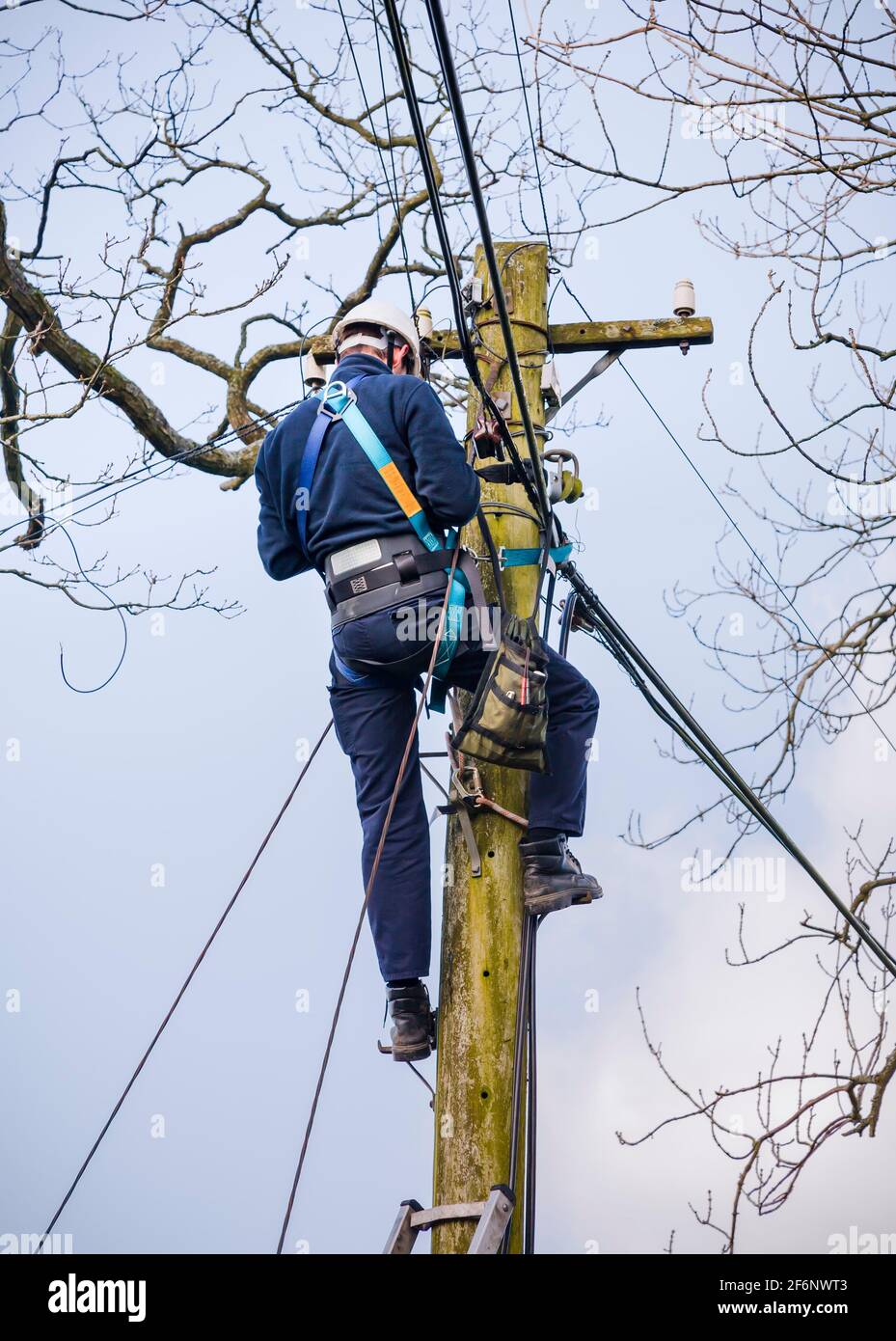 CONWY, Regno Unito - 29 febbraio 2012. BT Openreach Telecom ingegnere riparazione di una linea telefonica aerea. Tecnico che lavora su un palo telegrafico a Snowdonia, W. Foto Stock