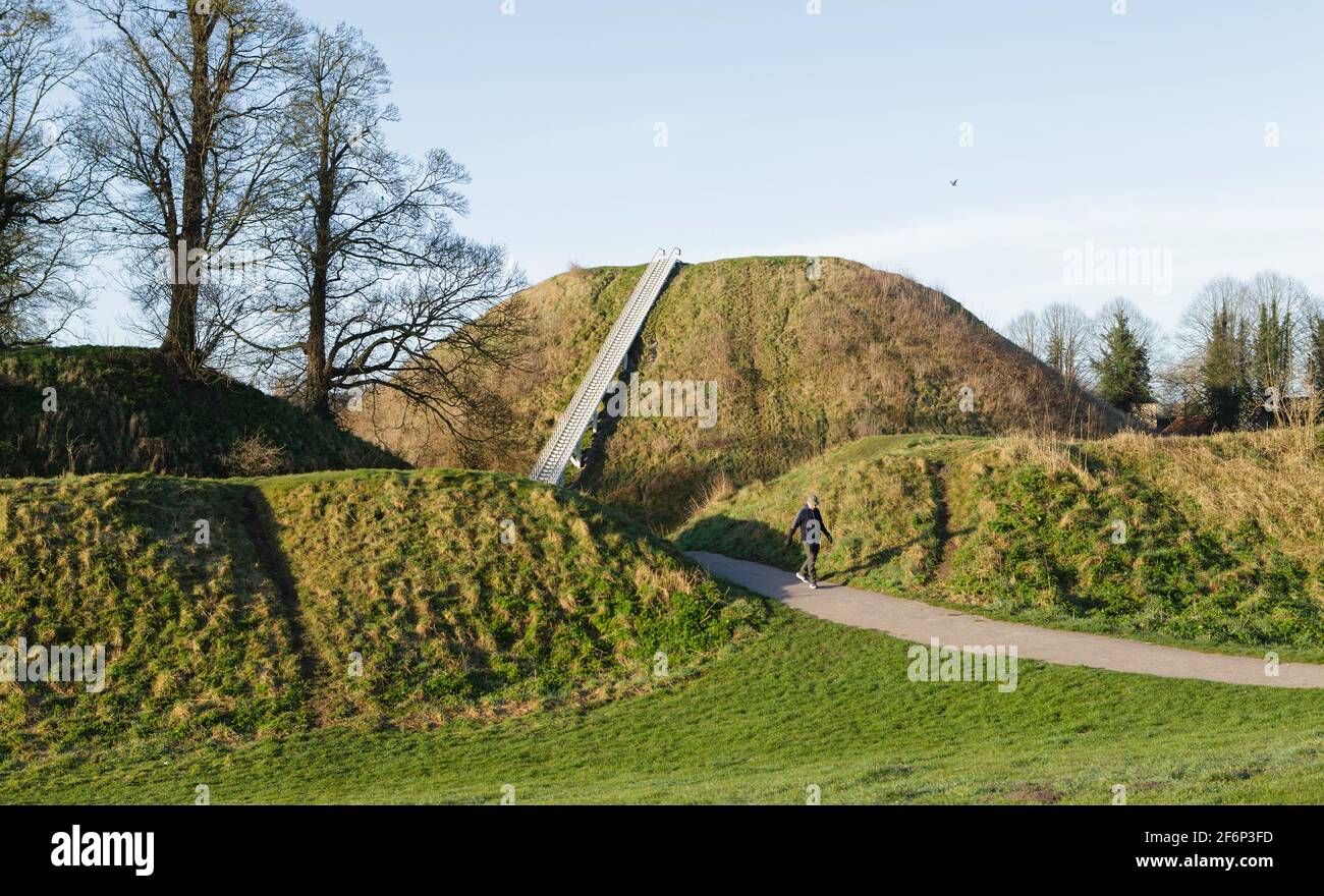 Uomo che cammina attraverso Castle Park, Thetford, all'inizio della primavera con Castle Hill sullo sfondo. Foto Stock