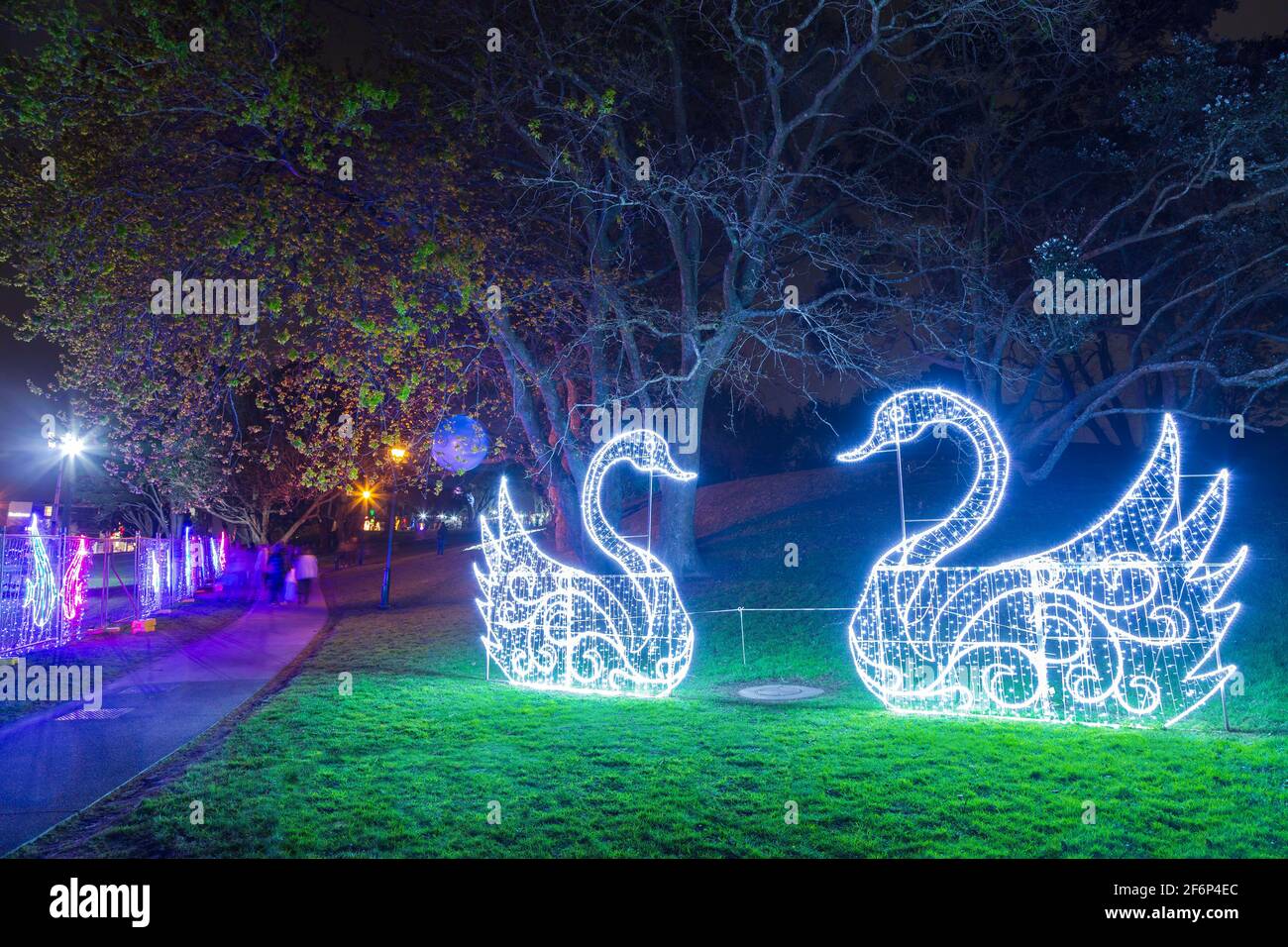 Sculture di luci Swan in un parco ad Auckland, Nuova Zelanda Foto Stock