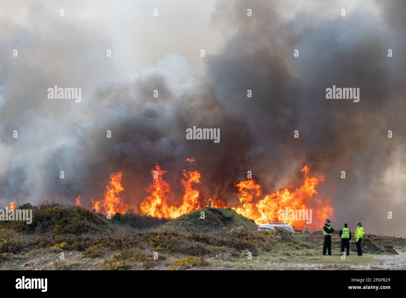 30 marzo 2021. Wildfire colpisce la zona boschiva vicino a Kingston a Moray, Scozia, Regno Unito. Il Servizio Scottish Fire and Rescue - SFRS - era sulla scena. Foto Stock